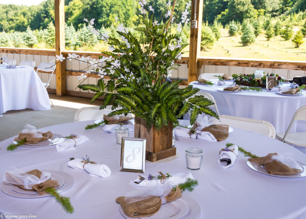 Timber Rose Wedding Dinning Area