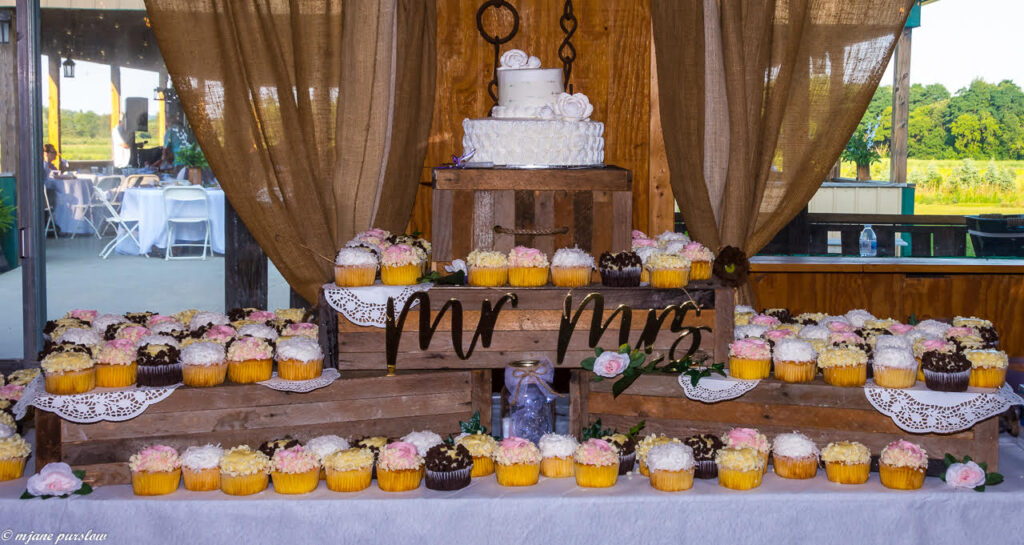 Wedding Cup Cakes Timber Rose Pavilion