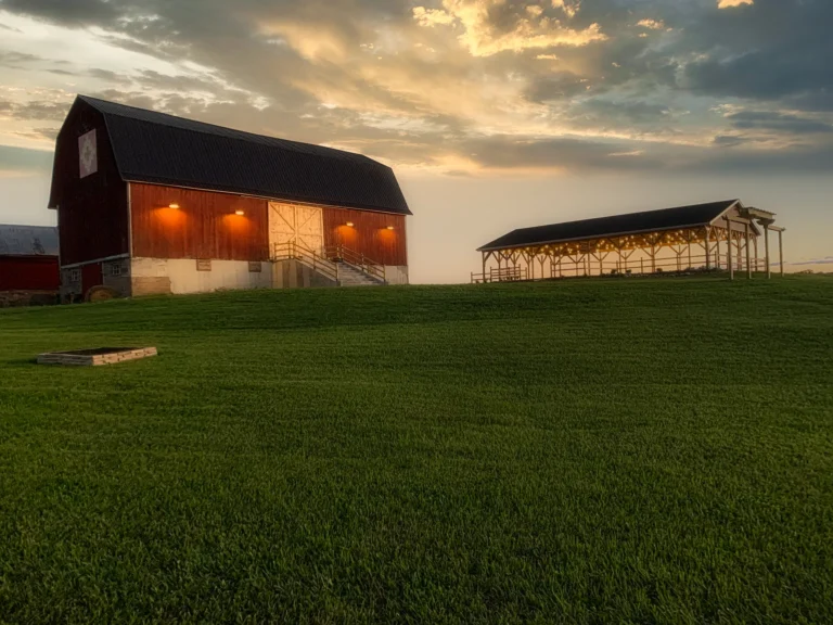 Timber_Rose Barn Wedding Venue (1