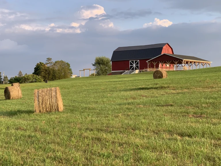 Timber_Rose Barn Wedding Venue (3)