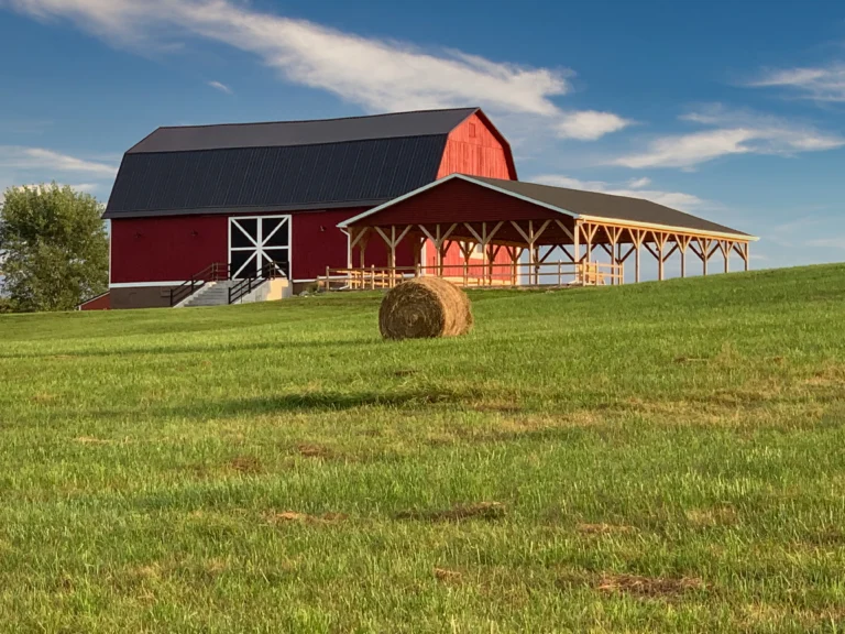 Timber_Rose Barn Wedding Venue (5)